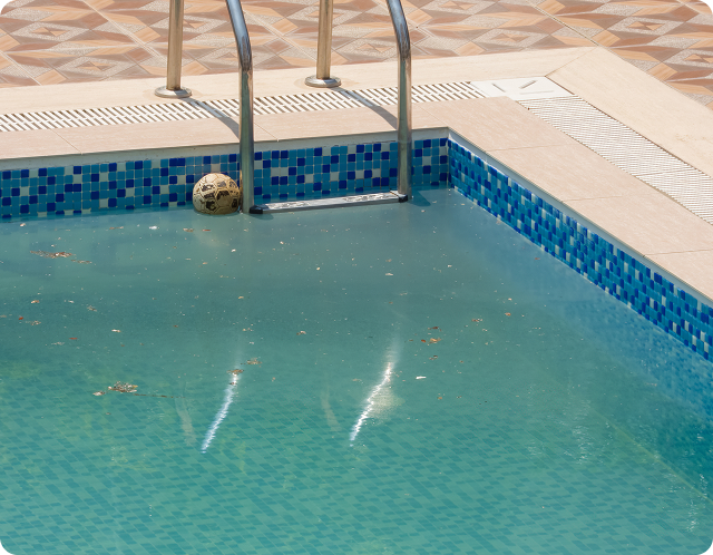 Fix Cloudy Water