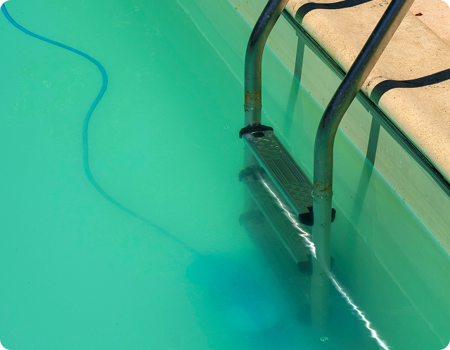 Improve Water Clarity
